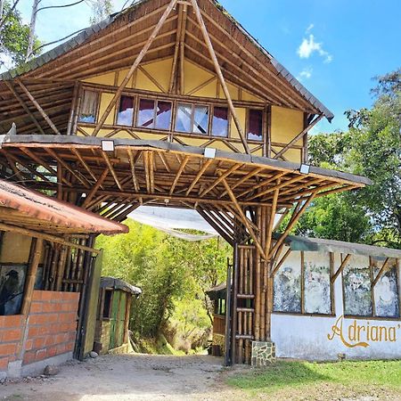 Hotel Guatape Adrianas Bambu Extérieur photo