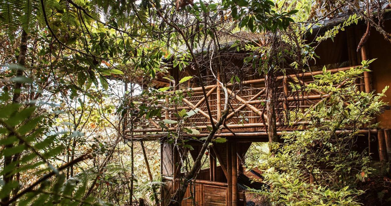 Hotel Guatape Adrianas Bambu Extérieur photo