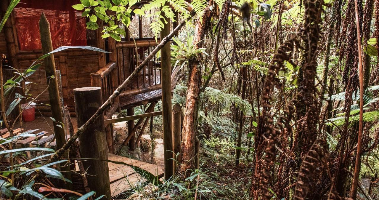 Hotel Guatape Adrianas Bambu Extérieur photo