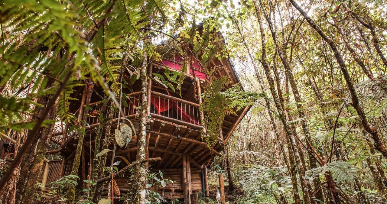 Hotel Guatape Adrianas Bambu Extérieur photo