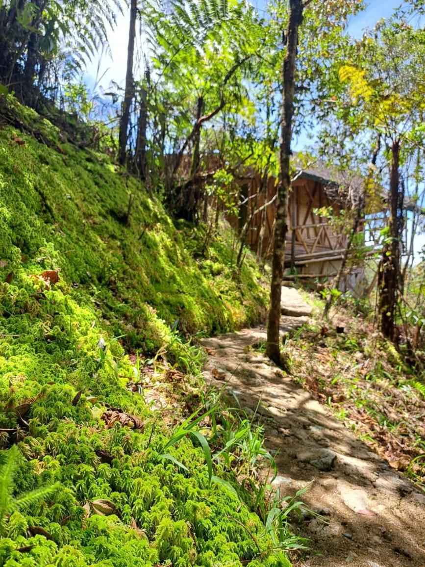 Hotel Guatape Adrianas Bambu Extérieur photo