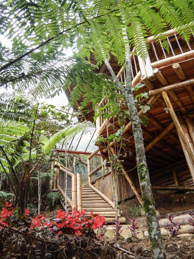 Hotel Guatape Adrianas Bambu Extérieur photo