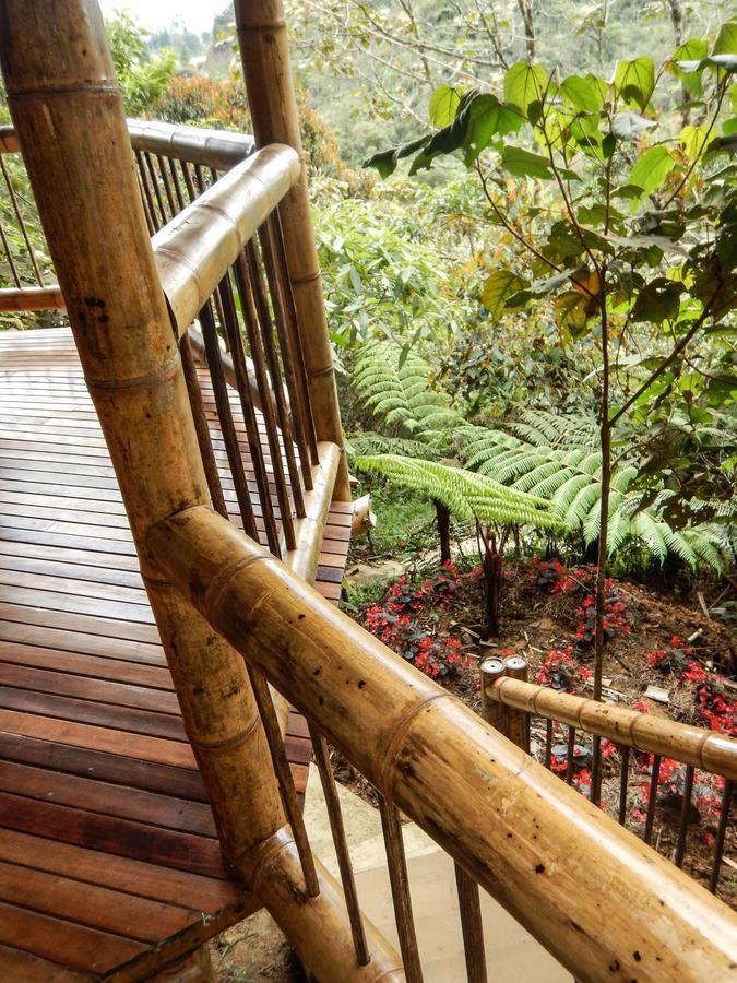 Hotel Guatape Adrianas Bambu Extérieur photo