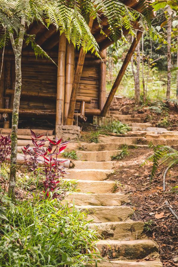 Hotel Guatape Adrianas Bambu Extérieur photo